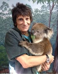 Ronnie and Eddie the Koala