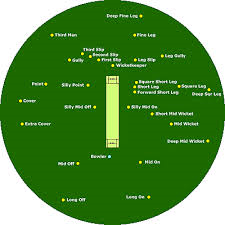 Square Leg is to the right perpendicular of the top light green strip of wicket diagram