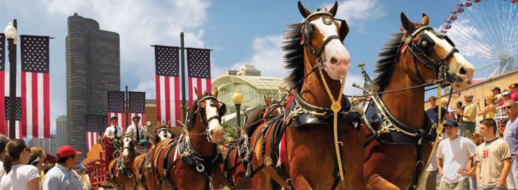 budweiser-clydesdales-american-icons